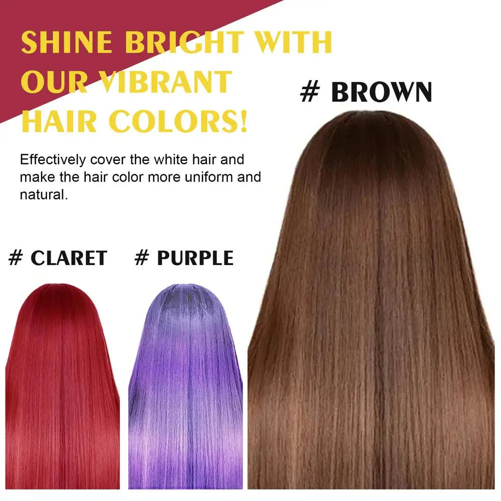 Hair Color Shampoo Black Hair Dye Covering White Hair Shampoo Hair Dye Shampoo Darkening Hair Shampoo Wine Red, Brown, Silver