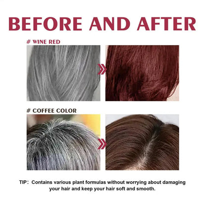 Hair Color Shampoo Black Hair Dye Covering White Hair Shampoo Hair Dye Shampoo Darkening Hair Shampoo Wine Red, Brown, Silver